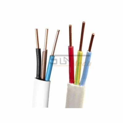 China Electrical Cable Aluminum Wire Solid Flat Cable Flat Twin Cable Pure Copper Power Cable Flexible Cable PVC Insulated Wire Copper Electric Wire